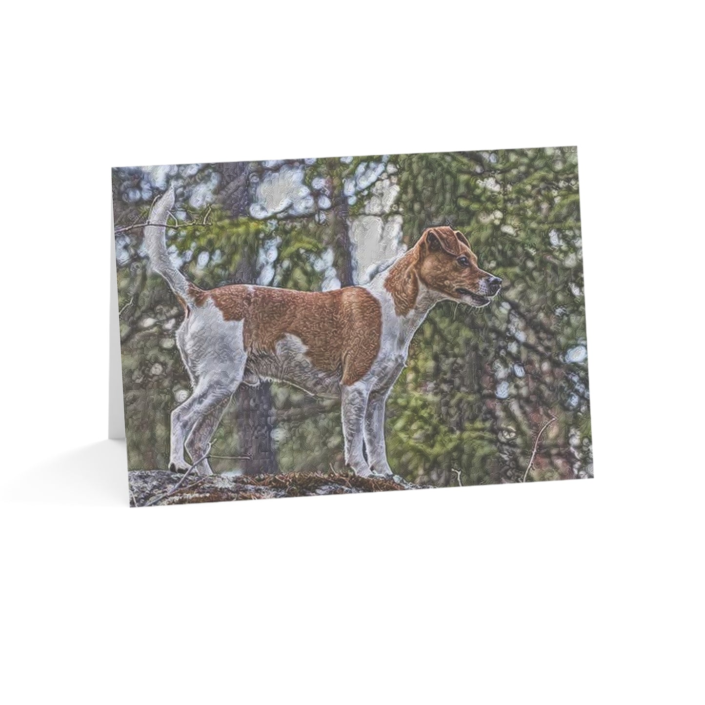 Danish-Swedish Farmdog Greeting Card Set | Premium 5x7 Dog Lover Cards