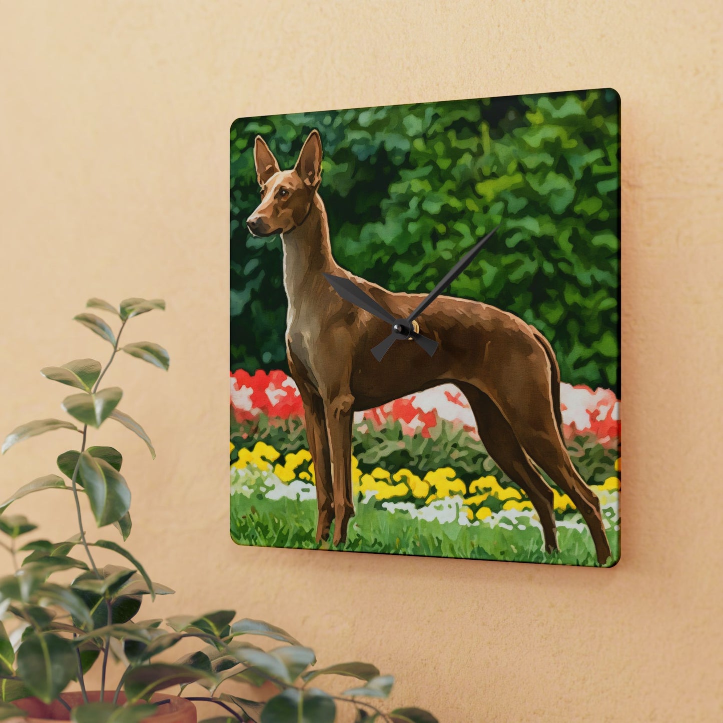 Pharaoh Hound Wall Clock – Elegant Egyptian Dog Lover Gift – Watercolor Pharaoh Hound Art