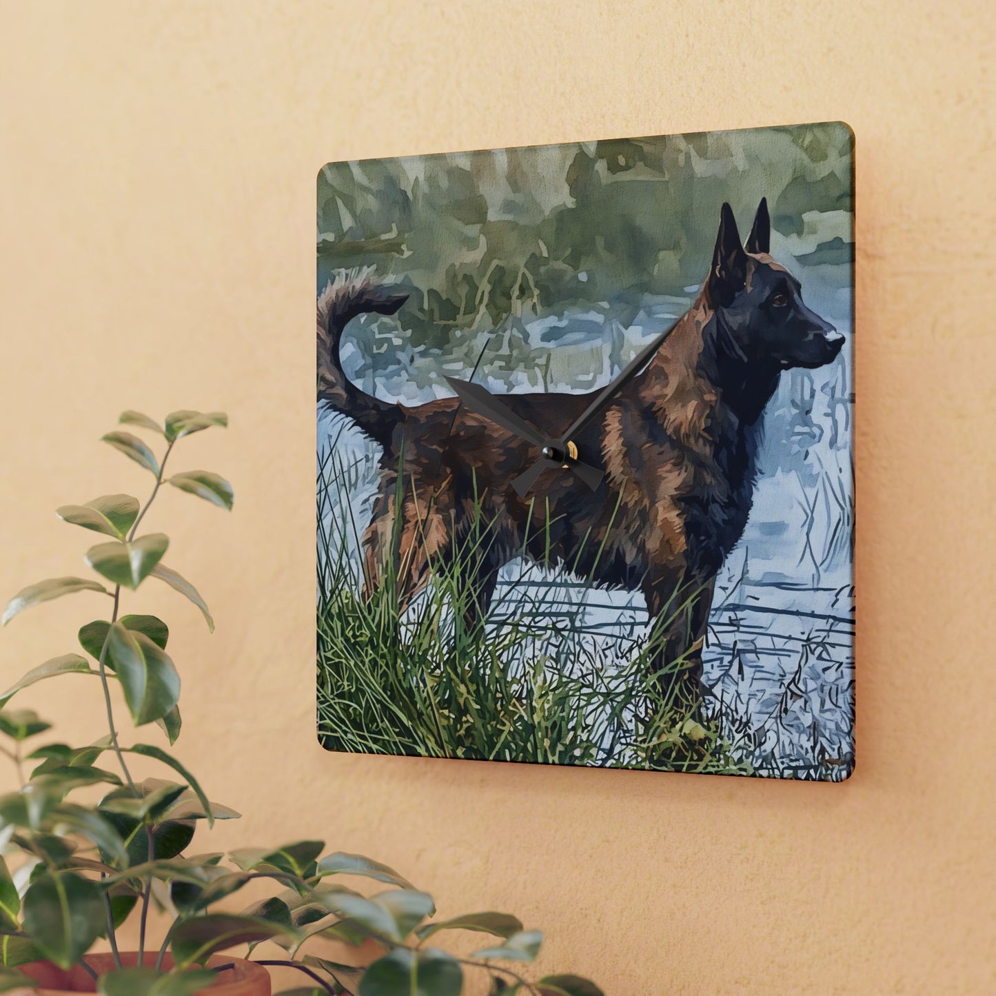 Dutch Shepherd Wall Clock – Minimalist Acrylic Clock with Watercolor Dutch Shepherd Art