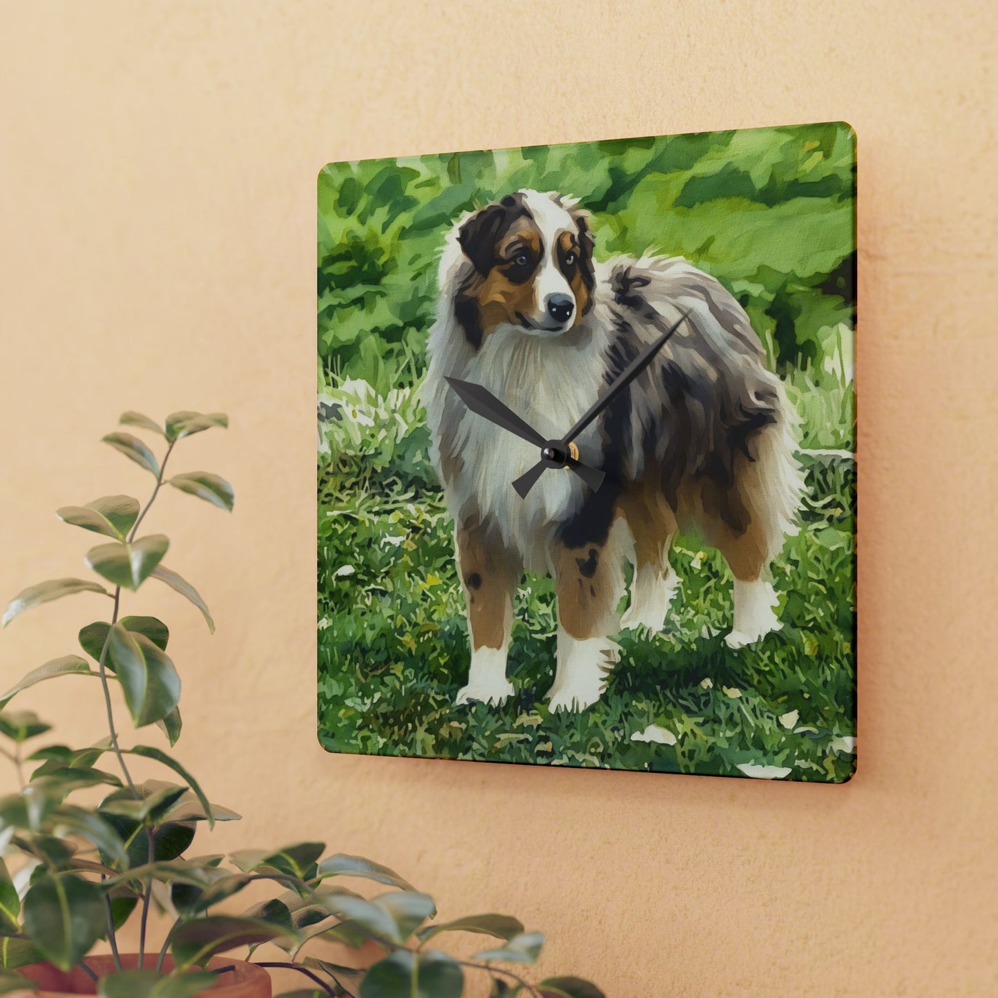 Miniature American Shepherd Wall Clock – Energetic Dog Lover Décor – Watercolor Mini American Shepherd Art