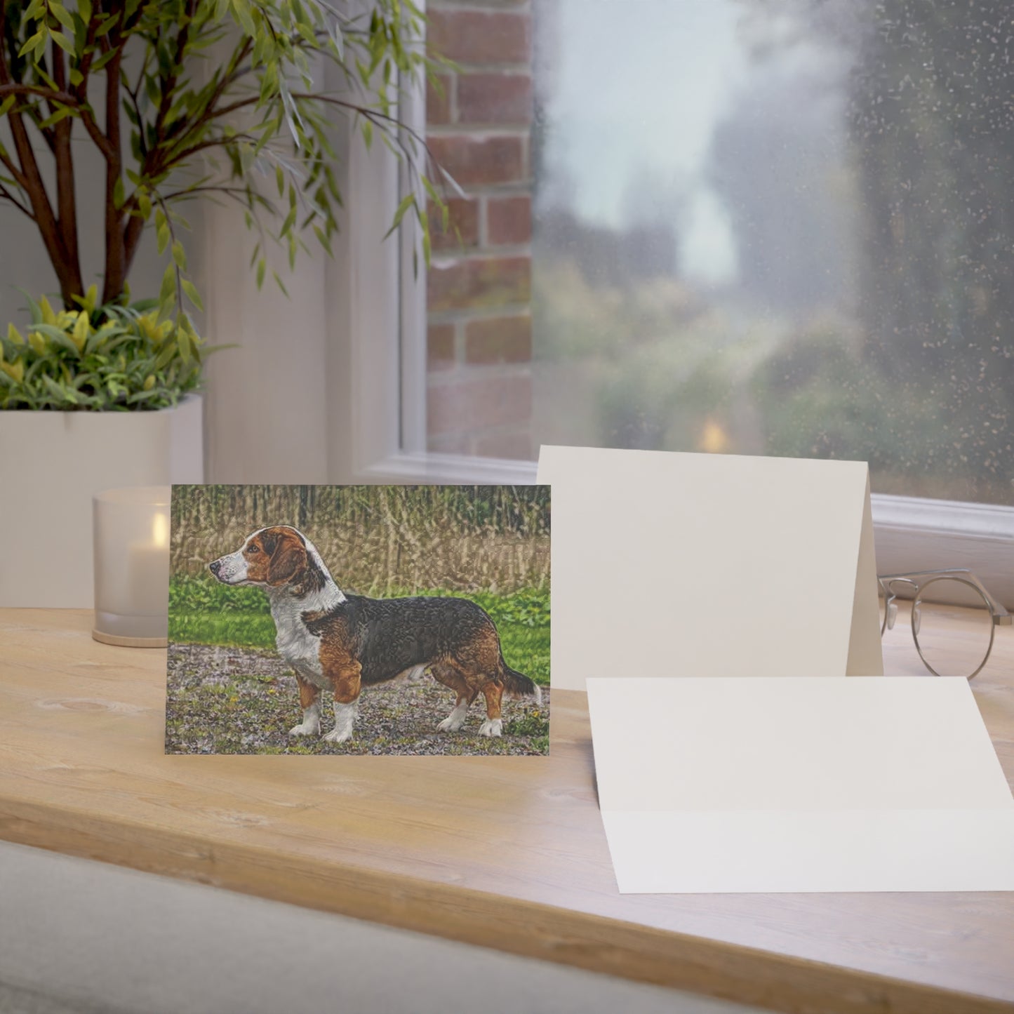 Drever Greeting Card Set | Swedish Hound 5x7 Blank Dog Cards