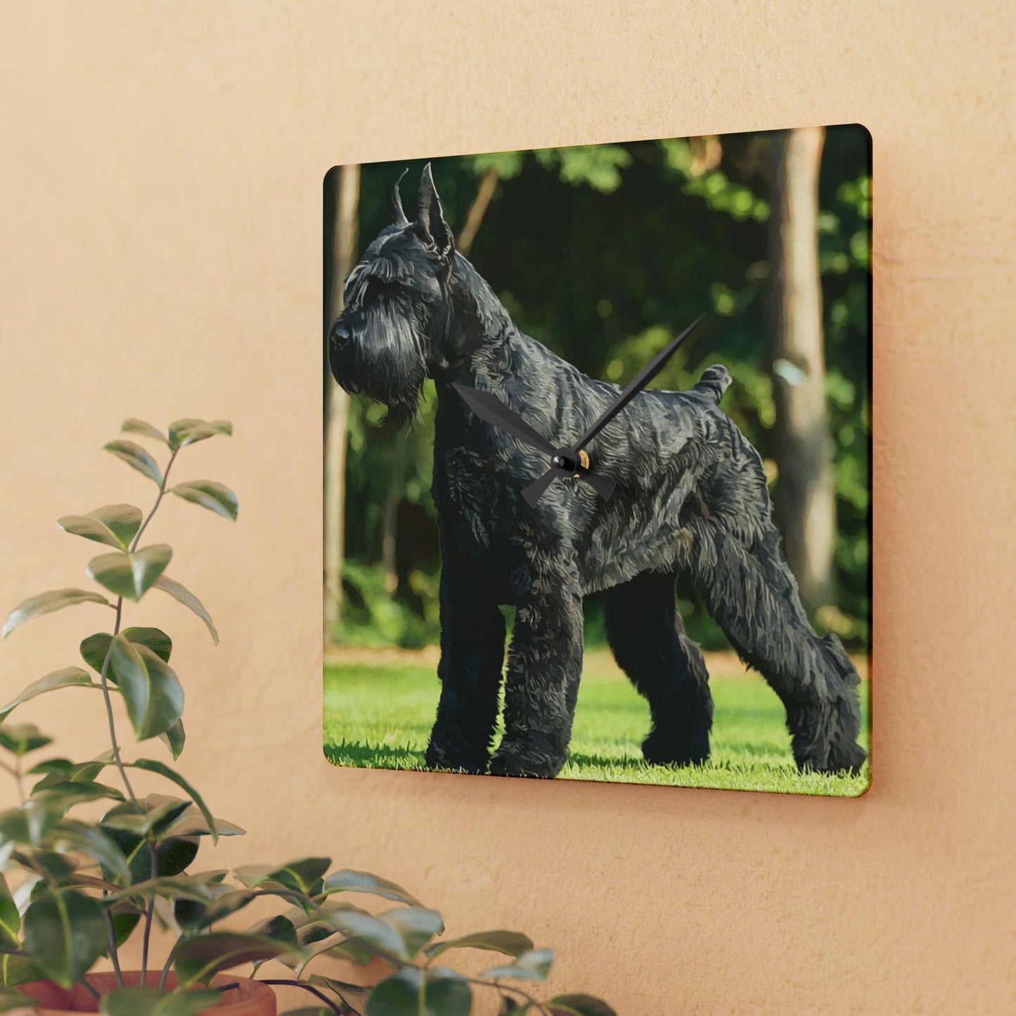 Giant Schnauzer Wall Clock – Watercolor Dog Lover Home Décor