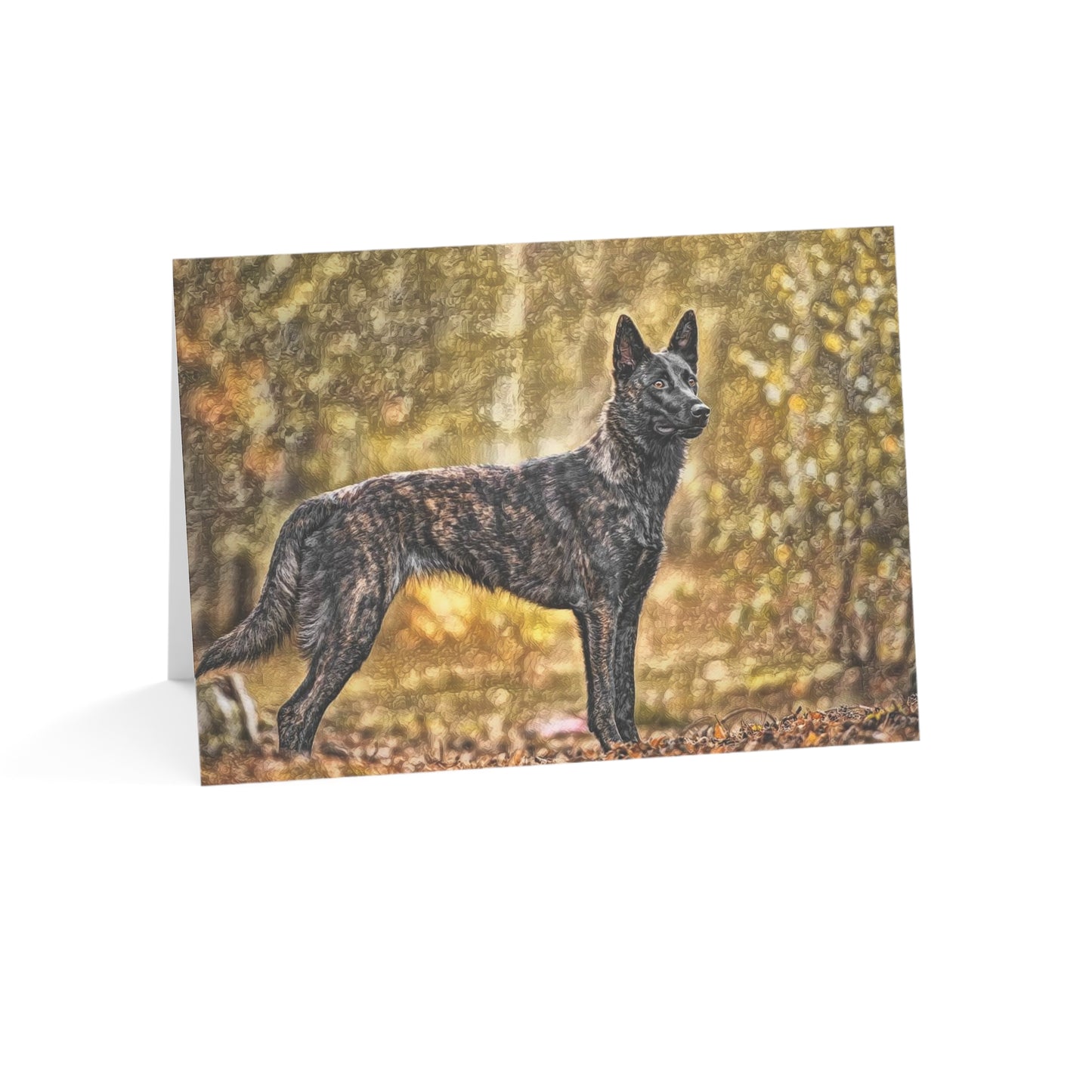 Dutch Shepherd Greeting Cards – 5x7 Dog Lover Notecards – Set of 10, 30 or 50 with Envelopes