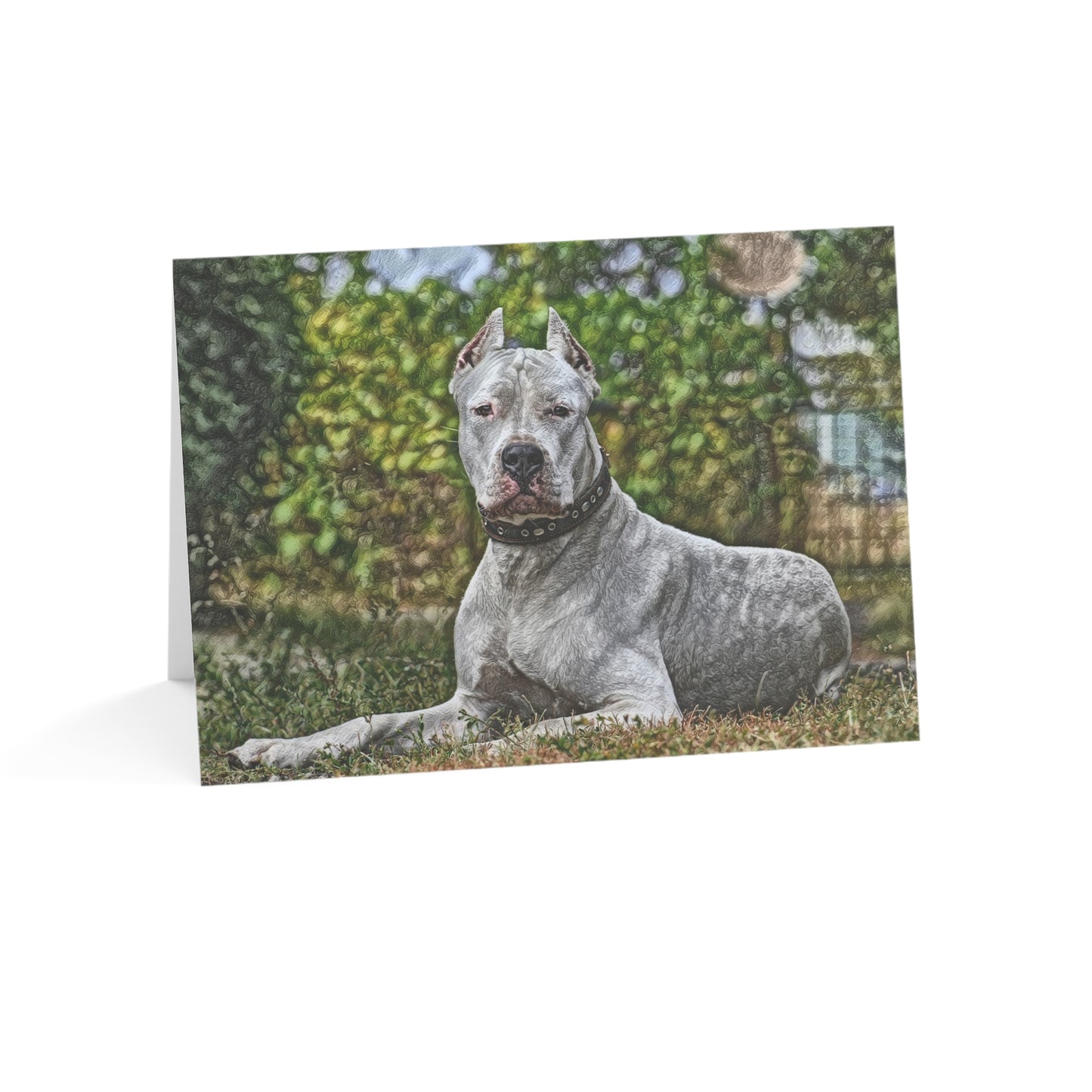 Dogo Argentino Greeting Card Set | Elegant 5x7 Blank Dog Cards