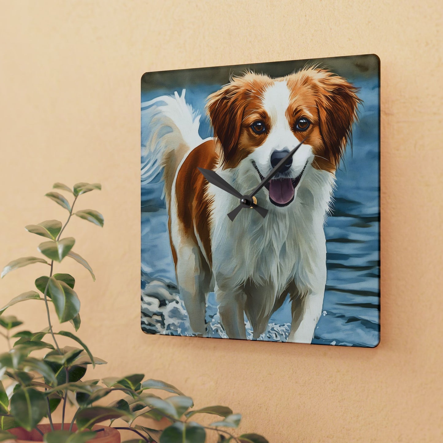Kooikerhondje Wall Clock | 10.75” Acrylic Rare Dog Breed Gift