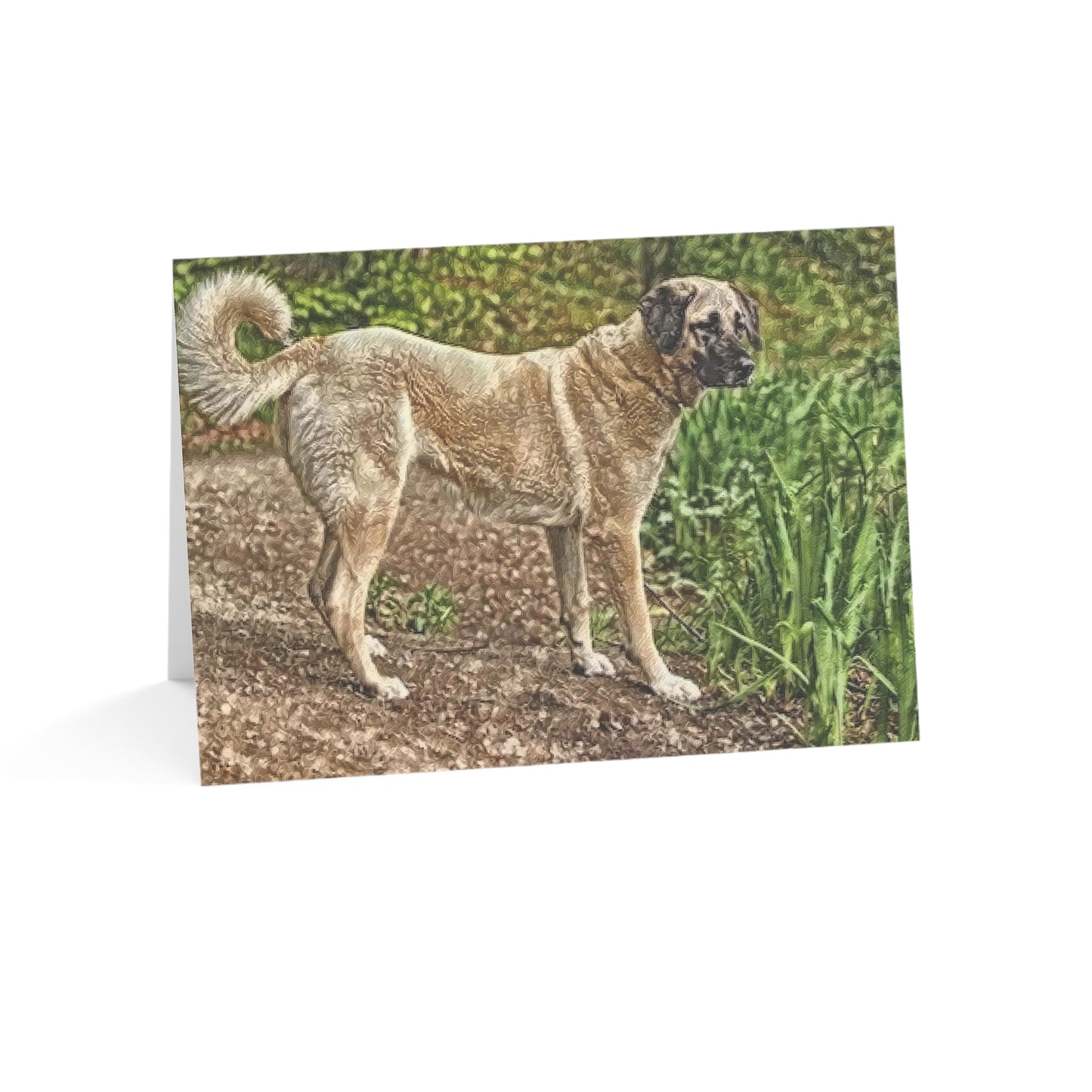 Kangal Shepherd Dog Greeting Card Set – Powerful & Protective Dog Lover Cards (5"x7")