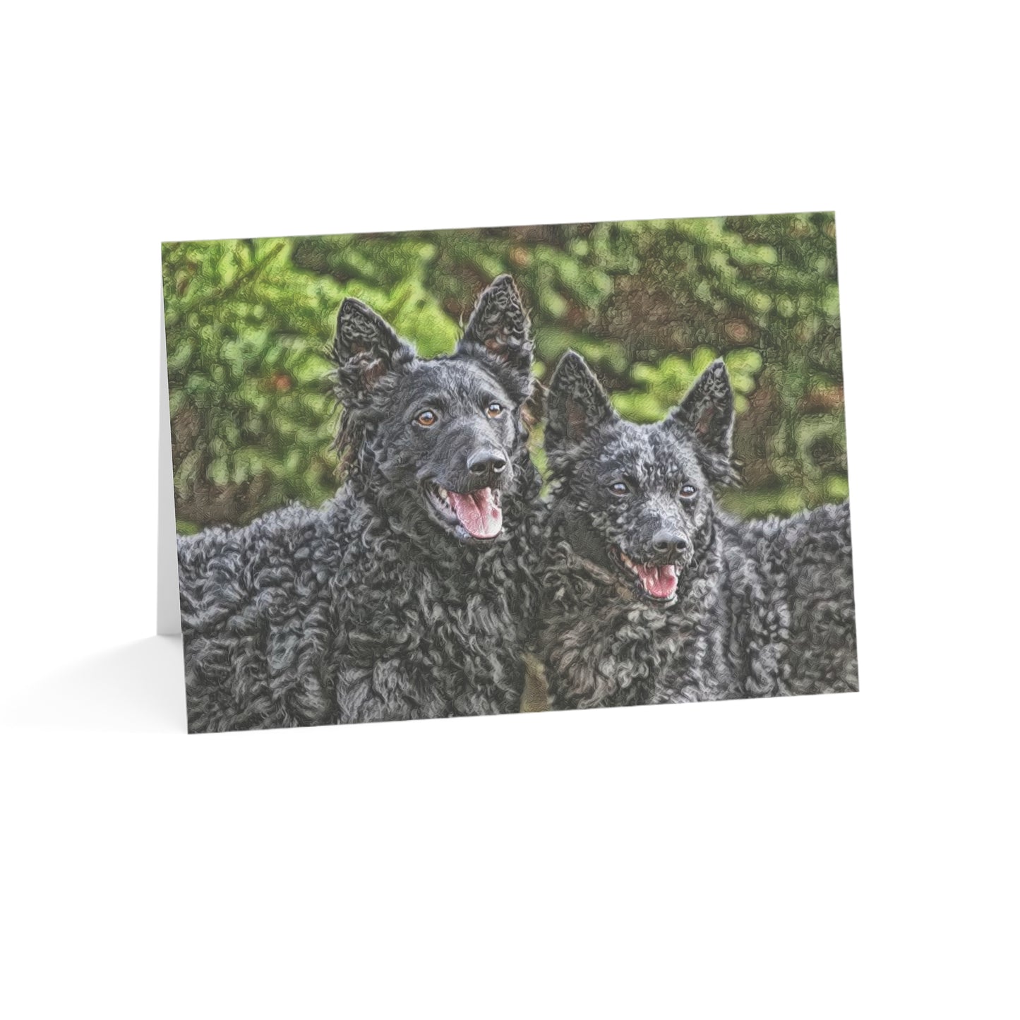 Mudi Greeting Cards – Rare Herding Dog Stationery – Custom Mudi Photo Art