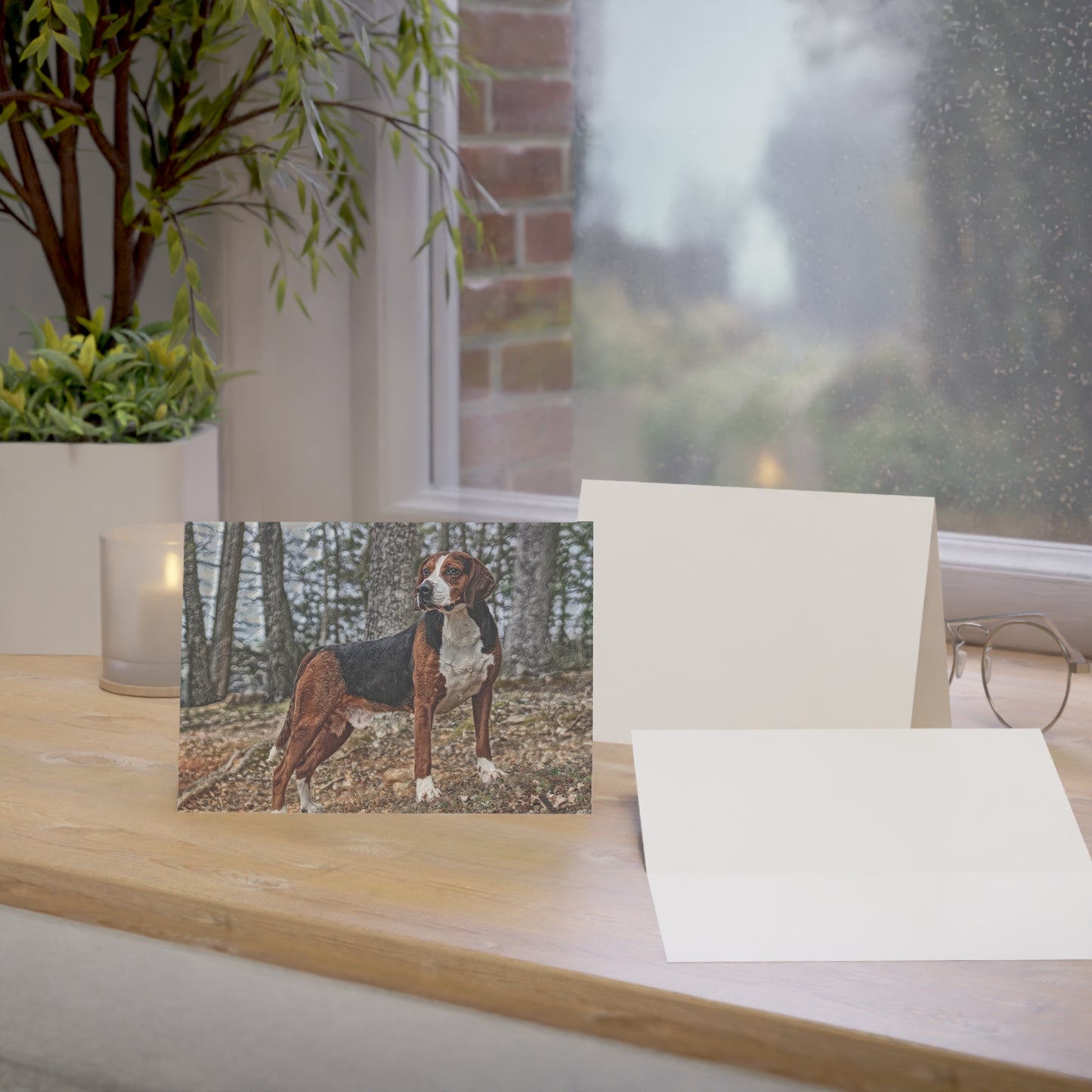 Hamiltonstovare Greeting Card Set | Rare Swedish Scenthound 5″x7″ Blank Cards with Envelopes
