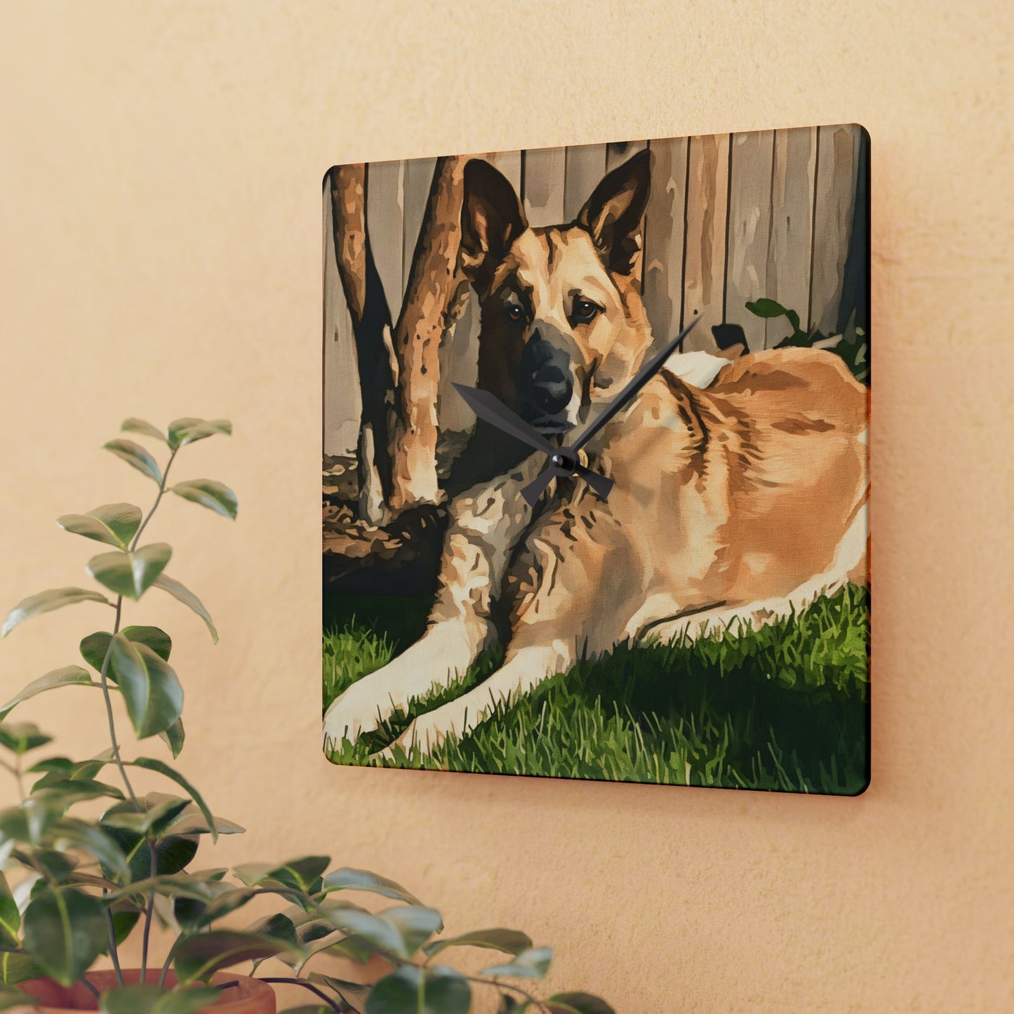 Chinook Wall Clock | Dog Lover Gift | Rare Breed Acrylic Clock with Chinook Dog Art