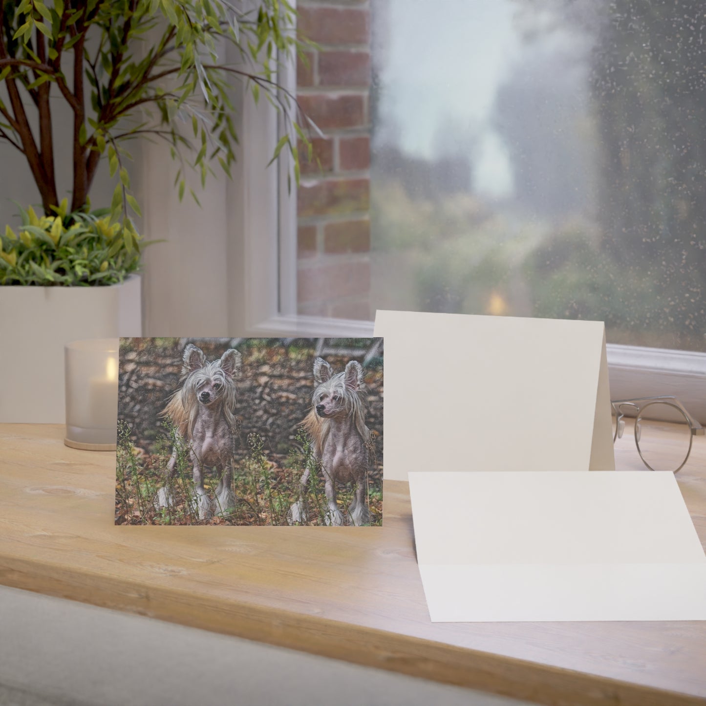 Chinese Crested Greeting Cards | Dog Lover Gift | Elegant Blank Note Cards with Crested Dog Art