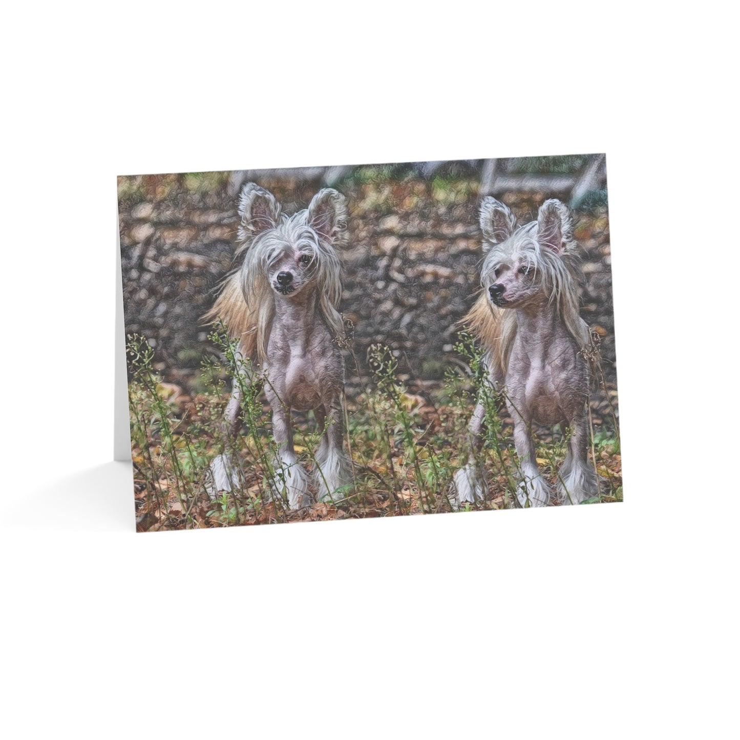 Chinese Crested Greeting Cards | Dog Lover Gift | Elegant Blank Note Cards with Crested Dog Art