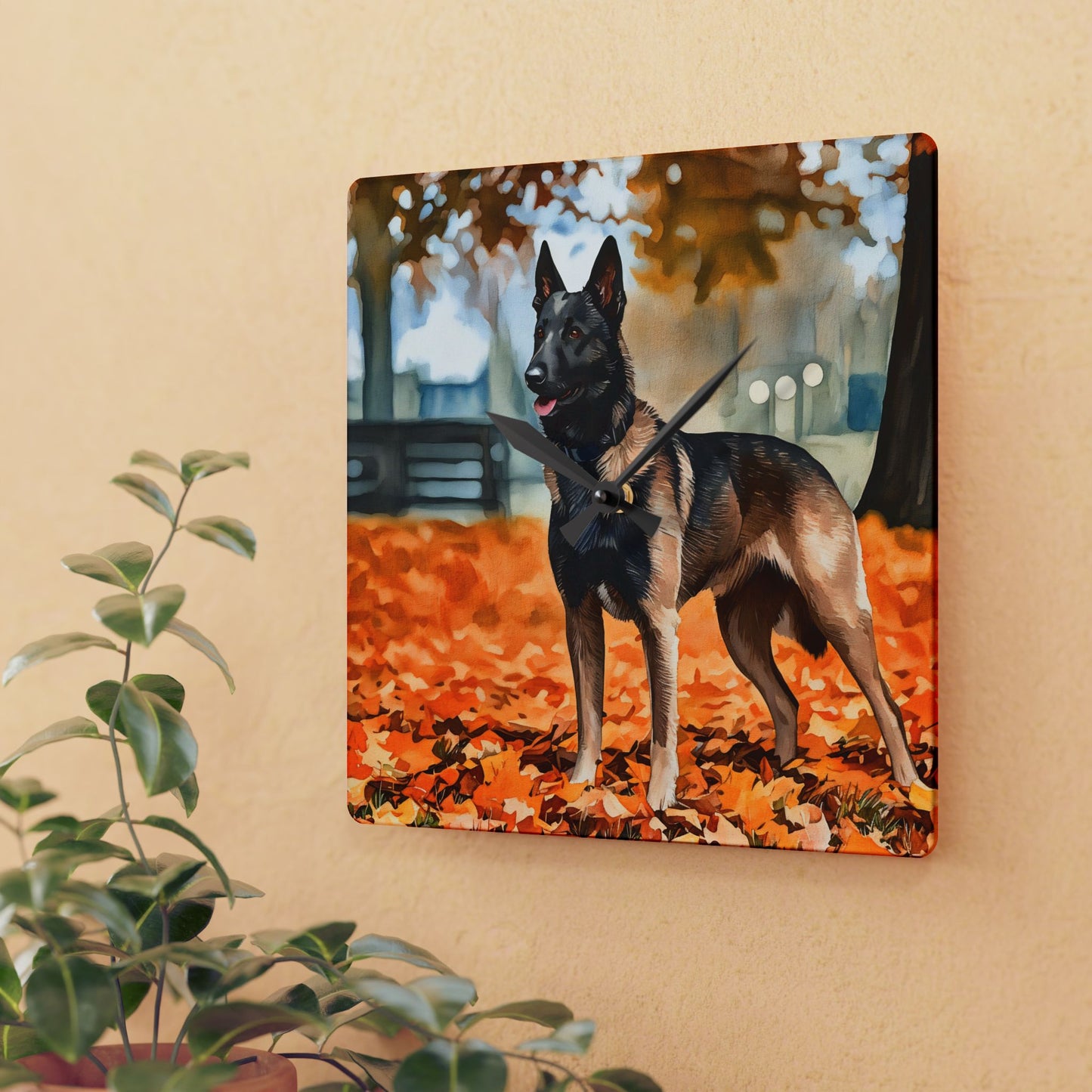 Belgian Malinois Wall Clock | Dog Lover Gift | Watercolor Belgian Malinois Art | 10.75" Acrylic Clock