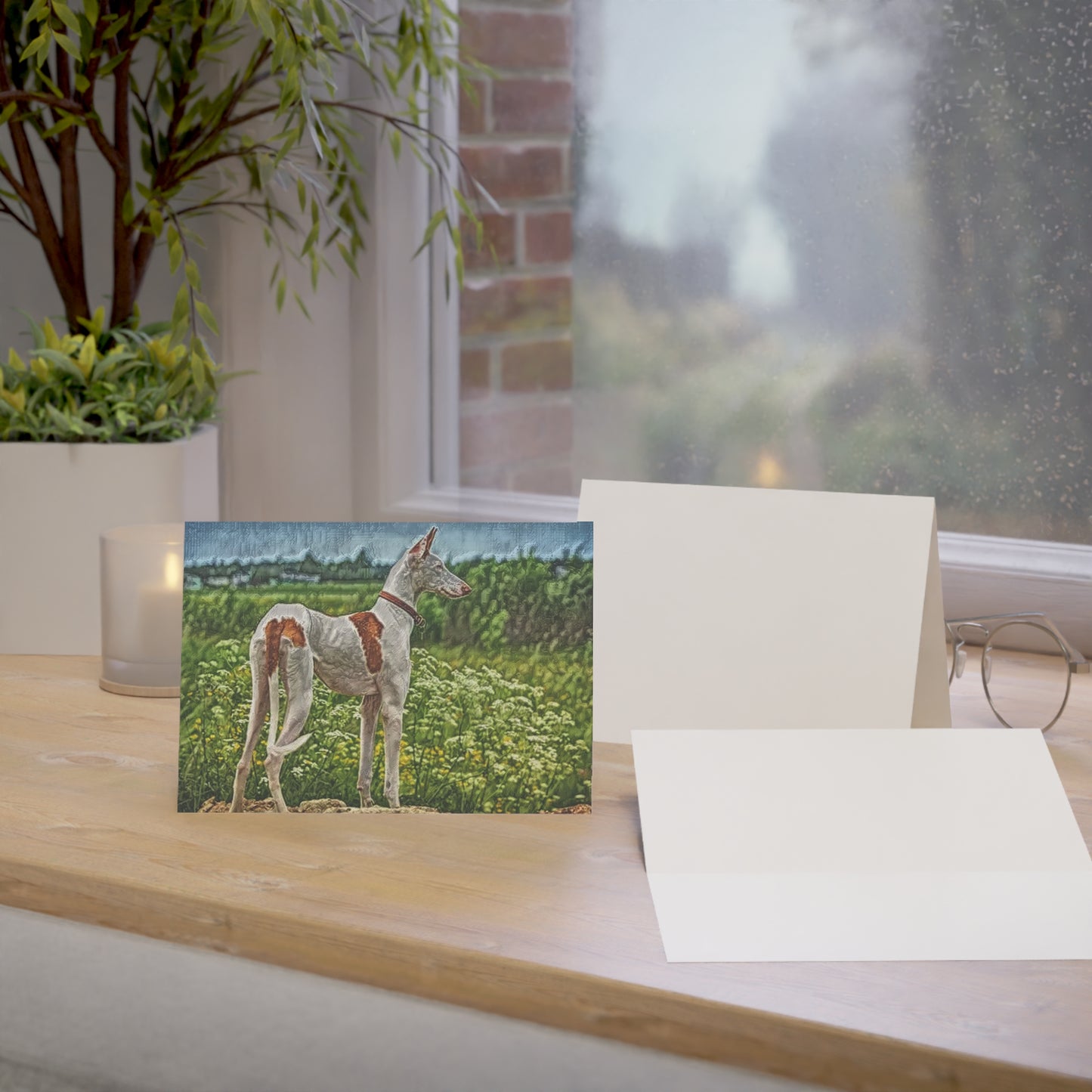 Ibizan Hound Greeting Card Set | Sleek 5″x7″ Blank Dog Lover Cards with Envelopes