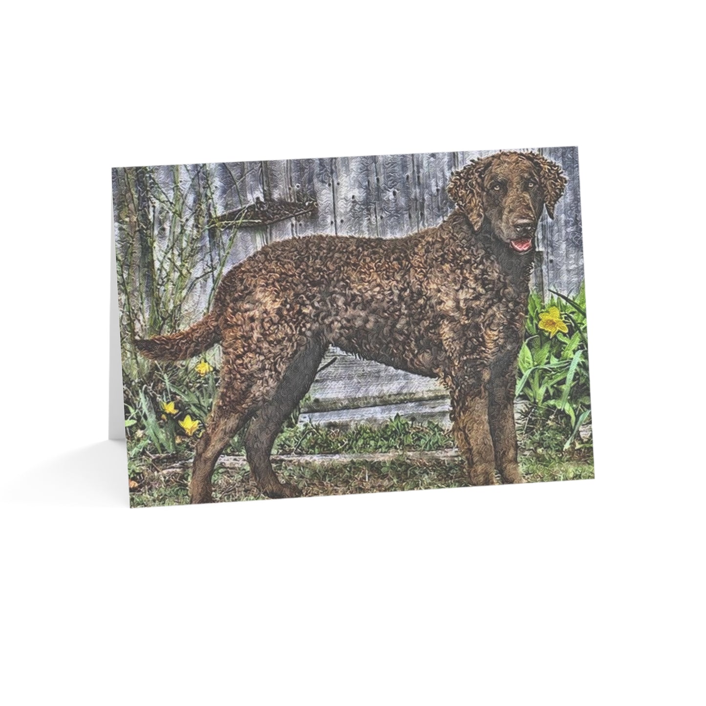 Curly-Coated Retriever Greeting Cards – Set of 10/30/50 – 5″×7″ Blank Dog Lover Cards with Envelopes