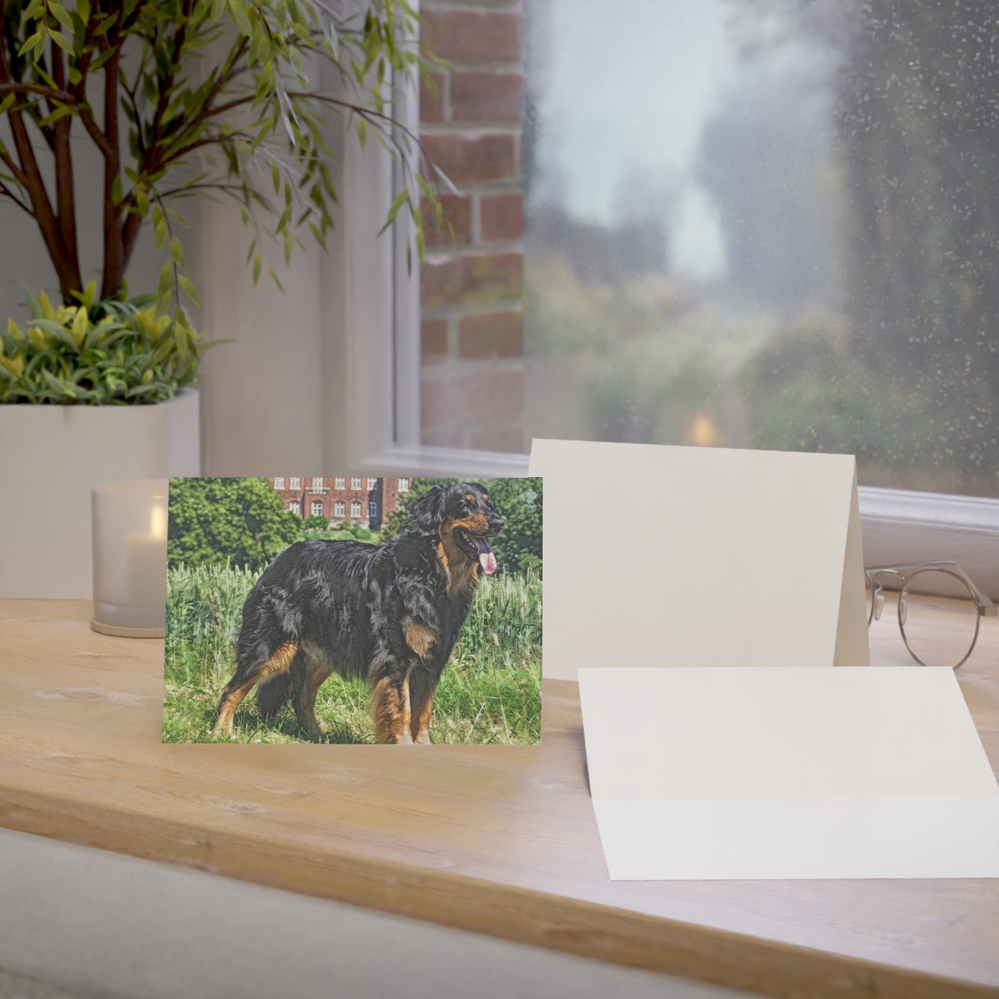 Hovawart Greeting Card Set | Rare Guardian Dog 5″x7″ Blank Cards with Envelopes