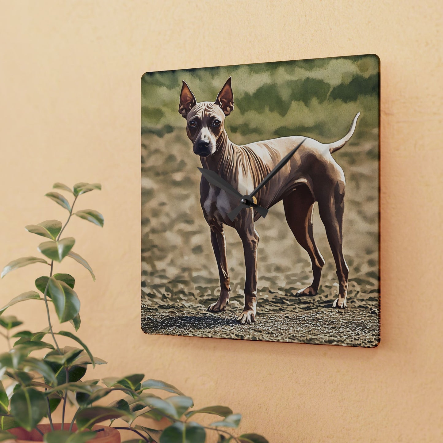 American Hairless Terrier Wall Clock | Dog Lover Gift | Decorative Acrylic Clock with Watercolor AHT Art