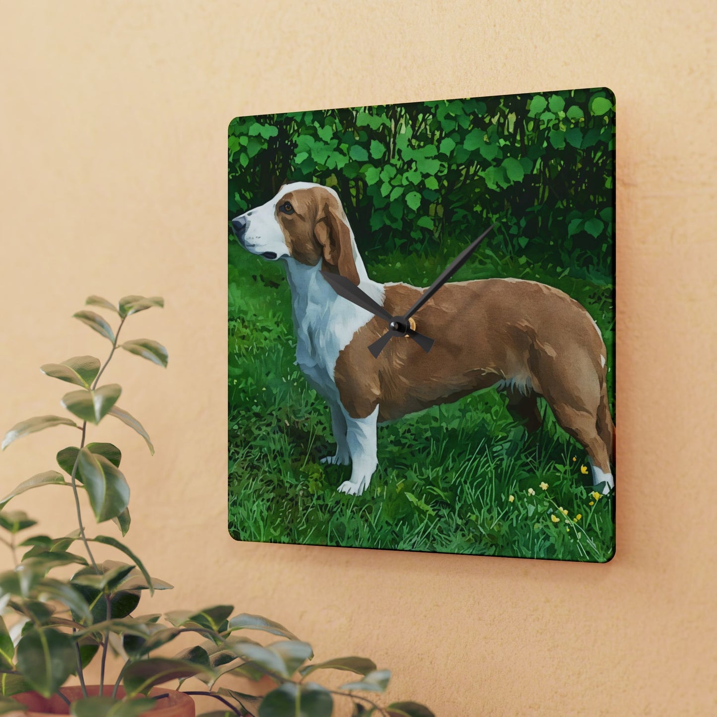 Watercolor Drever Wall Clock | Swedish Hound Acrylic Dog Lover Gift
