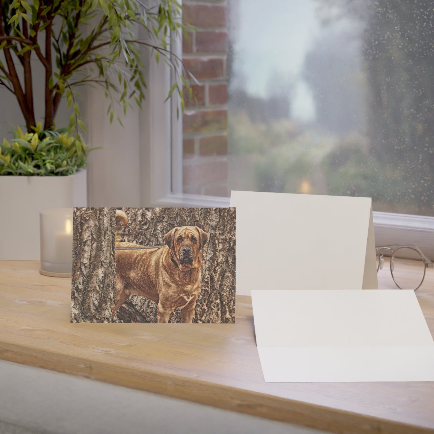 Broholmer Greeting Cards (Set of 10, 30, 50) | Rare Dog Breed Stationery | Blank Inside