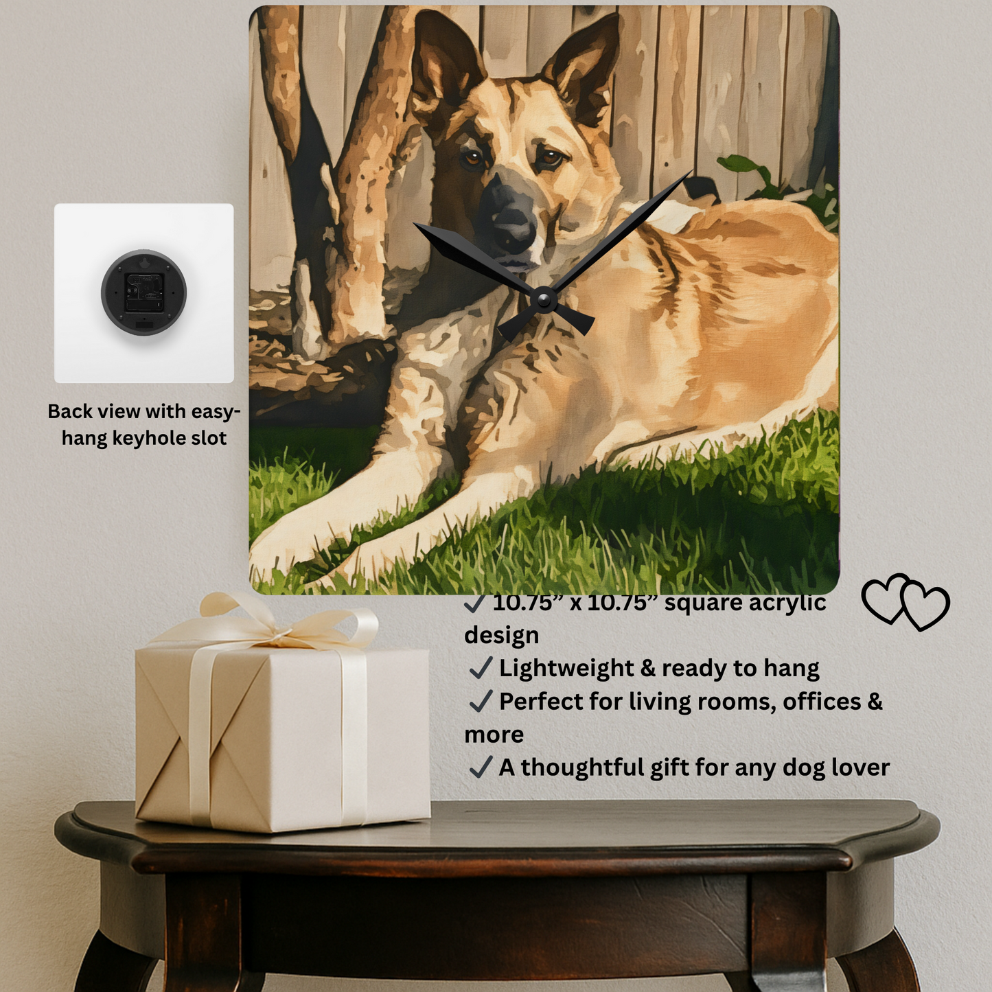 Chinook Wall Clock | Dog Lover Gift | Rare Breed Acrylic Clock with Chinook Dog Art