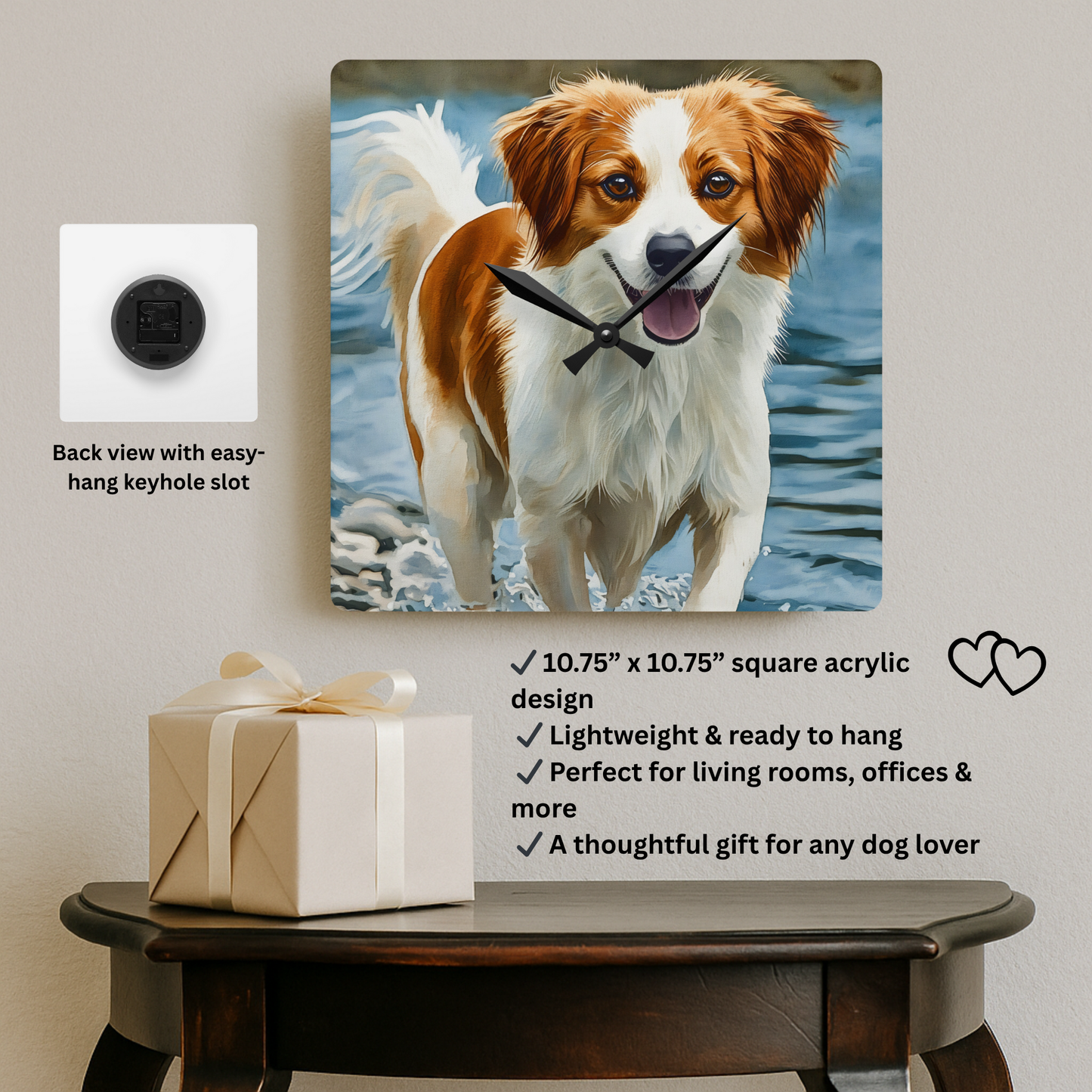 Kooikerhondje Wall Clock | 10.75” Acrylic Rare Dog Breed Gift