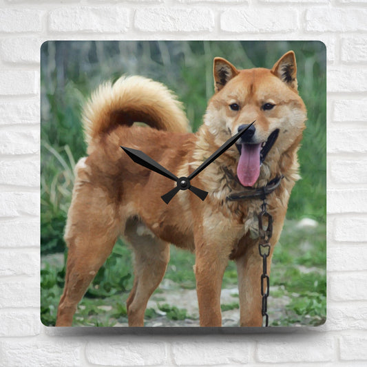 Korean Jindo Dog Wall Clock | 10.75” Acrylic Loyal Dog Breed Décor