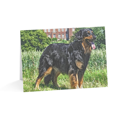 Hovawart Greeting Card Set | Rare Guardian Dog 5″x7″ Blank Cards with Envelopes