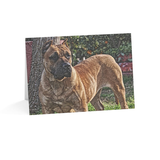 Presa Canario Greeting Cards – Strong Dog Lover Stationery – Artistic Presa Canario Design
