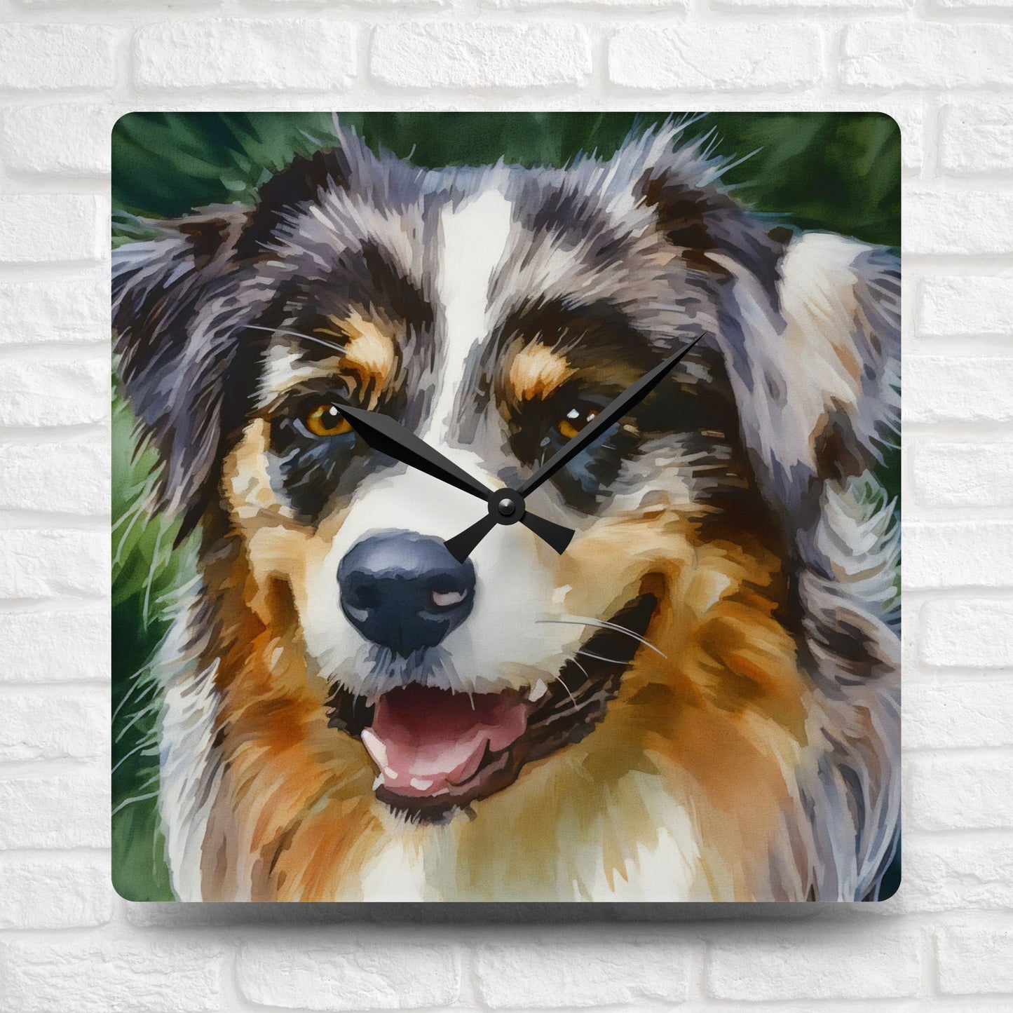 Australian Shepherd Wall Clock – Elegant Watercolor Dog Art | 10.75” Square Acrylic Wall Décor