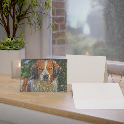Kooikerhondje Greeting Cards | 5x7 Rare Dog Breed Note Cards | Sets of 10, 30, 50