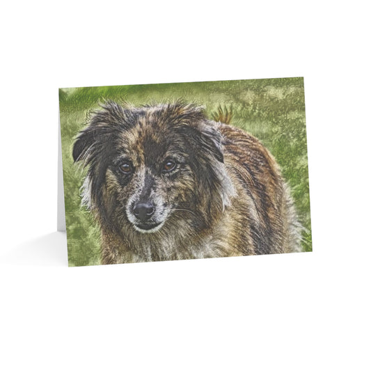 Pyrenean Shepherd Greeting Cards – Cheerful Dog Lover Stationery – Artistic Breed Design