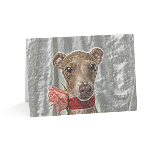 Italian Greyhound Greeting Card Set – Elegant & Playful Dog Lover Cards (5"x7")