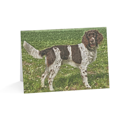 German Longhaired Pointer Greeting Card Set – Dog Breed Art Note Cards