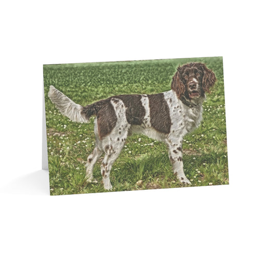 German Longhaired Pointer Greeting Card Set – Dog Breed Art Note Cards