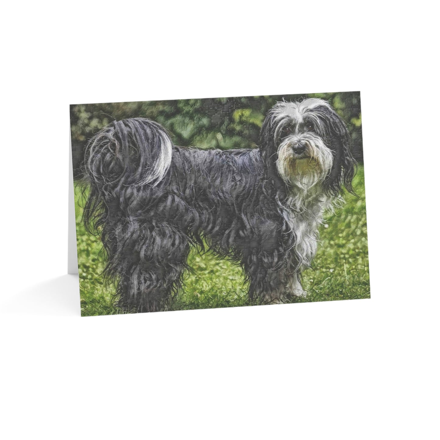 Tibetan Terrier Greeting Cards – Beloved Tibetan Breed Art Set