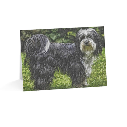 Tibetan Terrier Greeting Cards – Beloved Tibetan Breed Art Set
