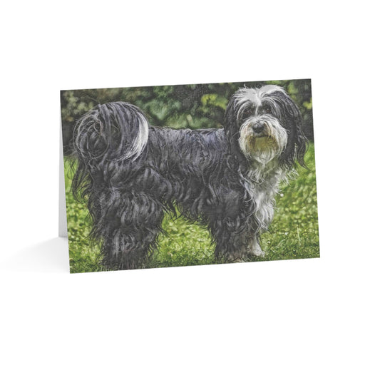 Tibetan Terrier Greeting Cards – Beloved Tibetan Breed Art Set