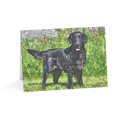 Flat-Coated Retriever Greeting Card Set – Dog Breed Art Note Cards