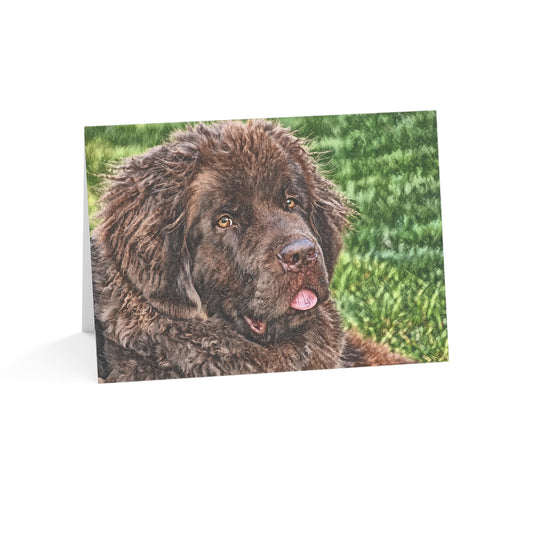 Newfoundland Greeting Cards – Gentle Giant Gift Set – Custom Newfoundland Photo Art