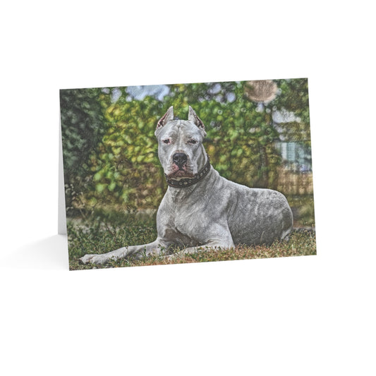 Dogo Argentino Greeting Card Set | Elegant 5x7 Blank Dog Cards