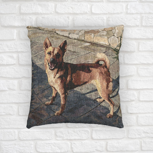 Taiwan Dog Decorative Pillow – Rare Breed Home Décor Accent