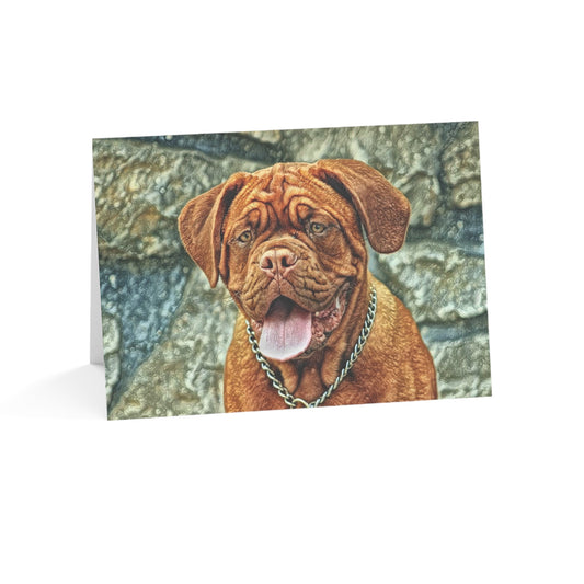 Dogue de Bordeaux Greeting Card Set | French Mastiff 5x7 Blank Cards