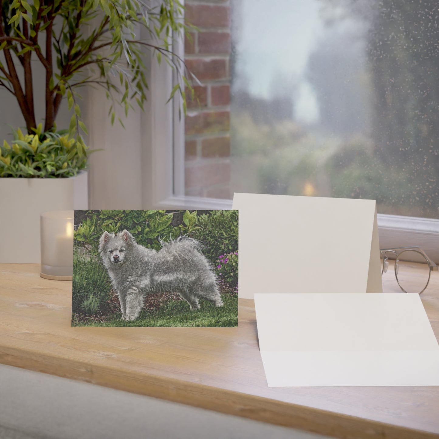 American Eskimo Dog Greeting Cards | Set of 10, 30, or 50 | Oil Painting Dog Art with Envelopes