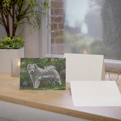 American Eskimo Dog Greeting Cards | Set of 10, 30, or 50 | Oil Painting Dog Art with Envelopes