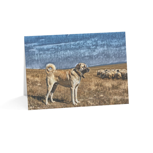 Anatolian Shepherd Dog Greeting Cards (Set of 10, 30, 50) | Loyal Guardian Dog Lover Stationery