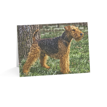 Welsh Terrier Greeting Cards – Bold Dog Lover Gift – Artistic Terrier Design