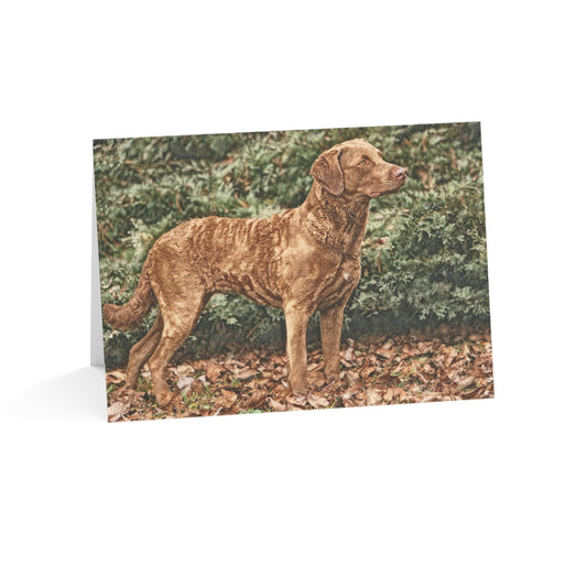Chesapeake Bay Retriever Greeting Cards | Dog Lover Gift | Set of Blank Cards with Retriever Art