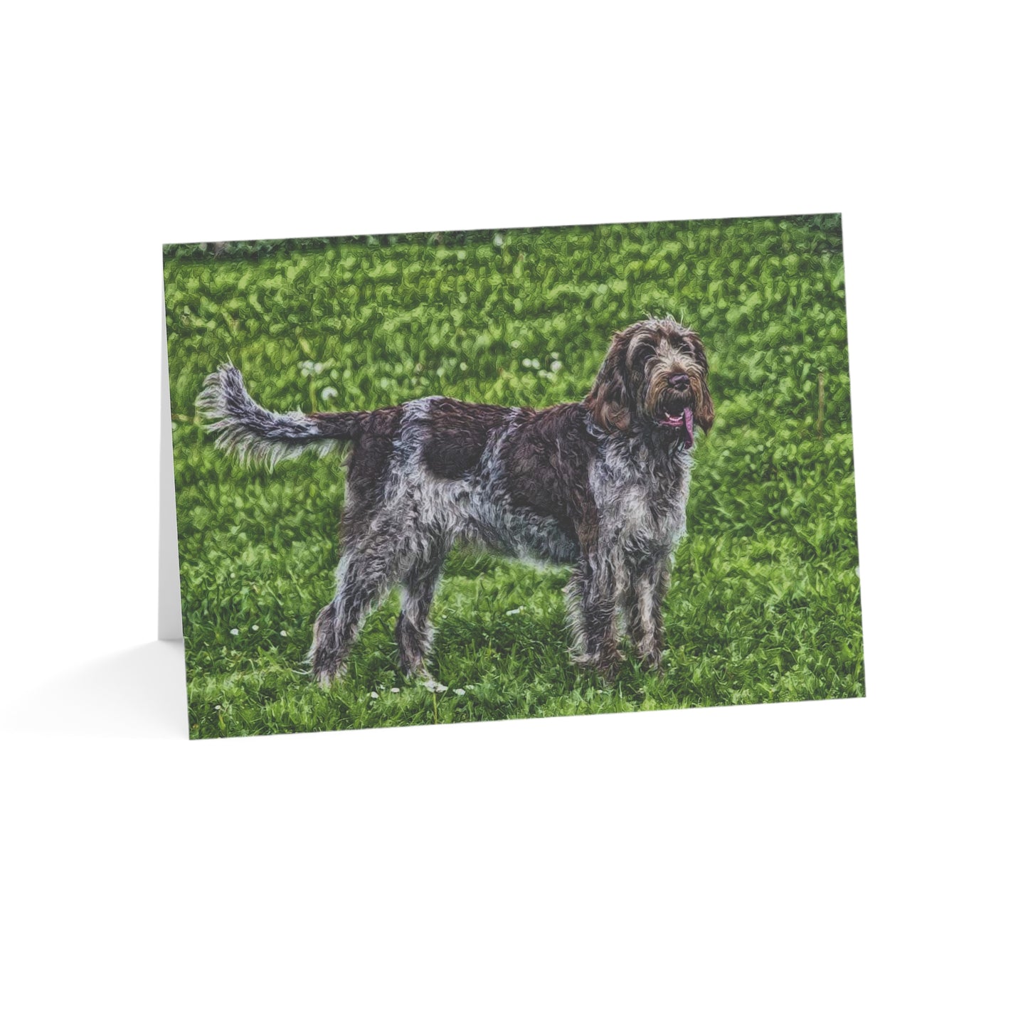 Spinone Italiano Greeting Cards – Sporting Dog Breed Art Set