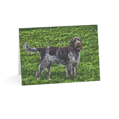 Spinone Italiano Greeting Cards – Sporting Dog Breed Art Set