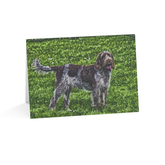 Spinone Italiano Greeting Cards – Sporting Dog Breed Art Set