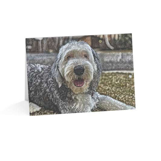 Sheepadoodle Greeting Card Set | Oil Painting Sheepadoodle Dog Lover Gift